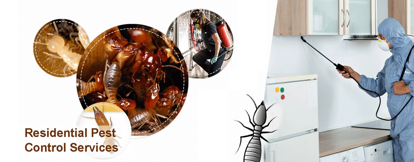 Residential Pest Control Services in Nagpur