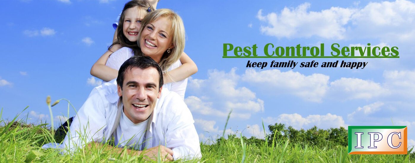 Commercial Pest Control Services in Nagpur